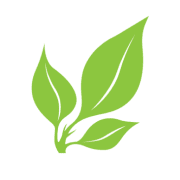 Para Space Landscaping Inc.