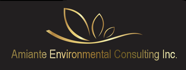 Amiante Environmental Consulting Inc.