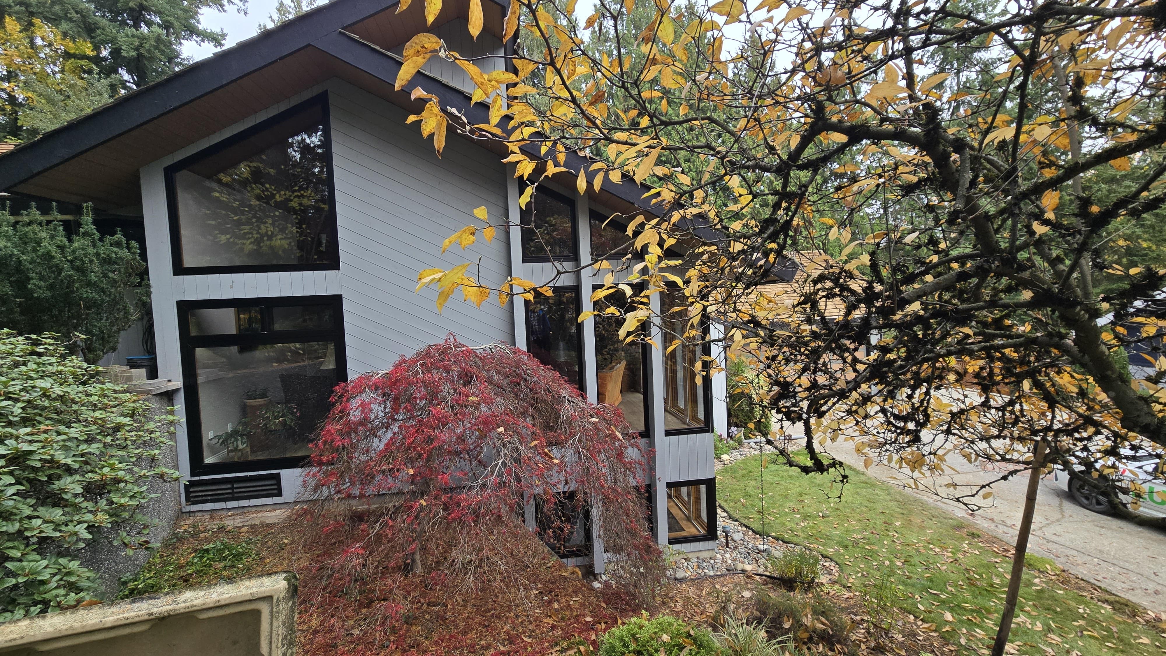 Lush Windows & Doors photo 1