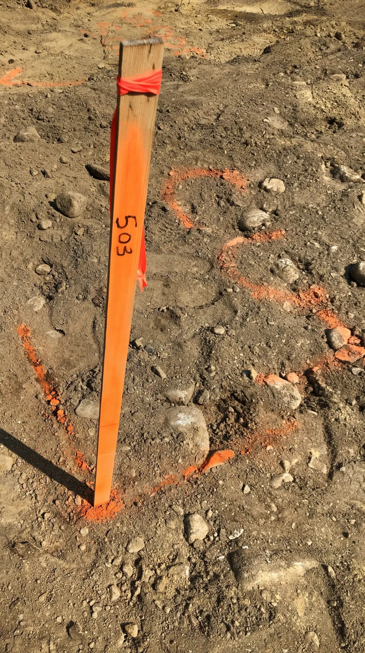 Tantalus Geomatics Land Surveying Ltd. photo 2