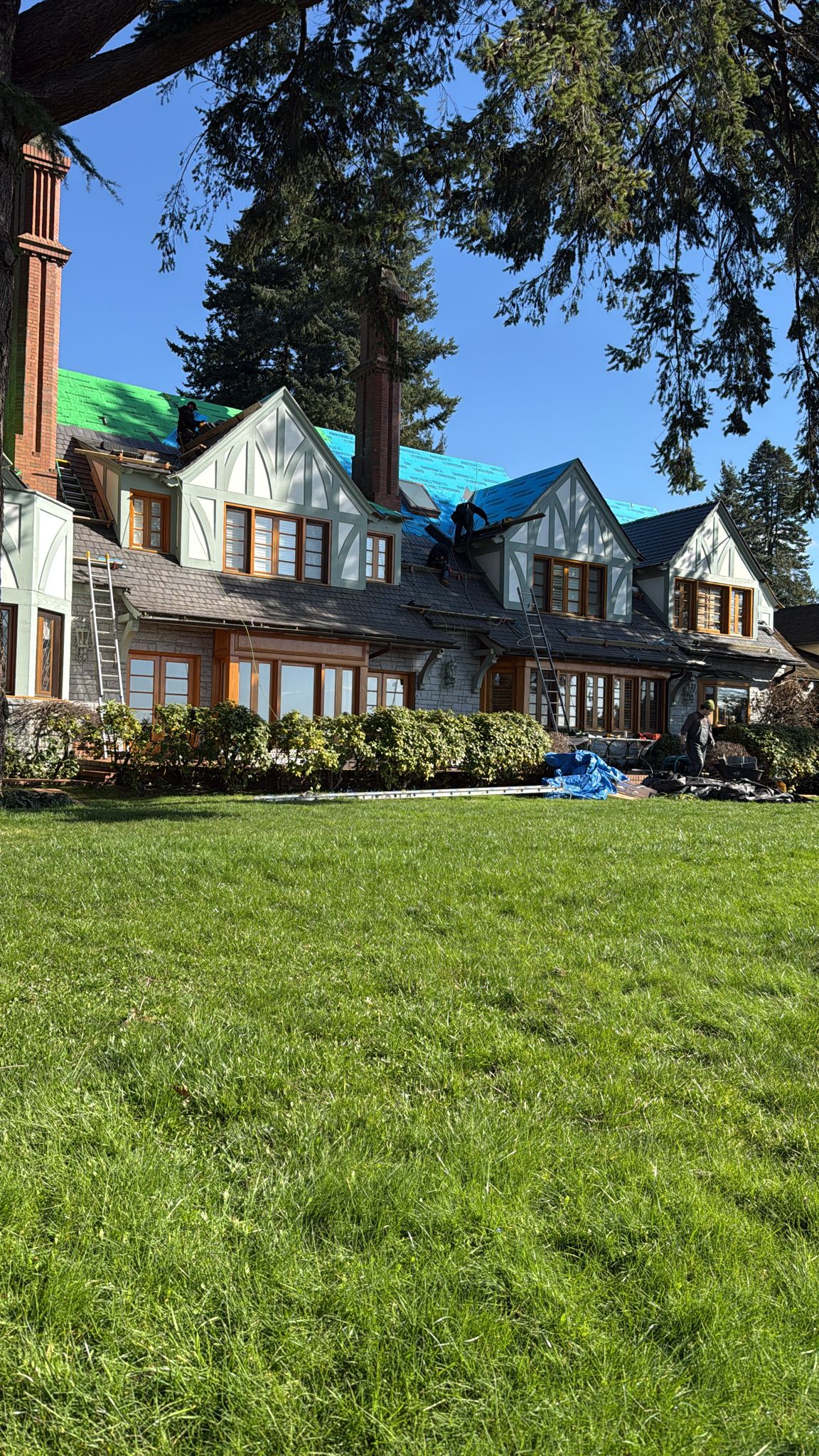 True North Strong Contracting Ltd photo 1