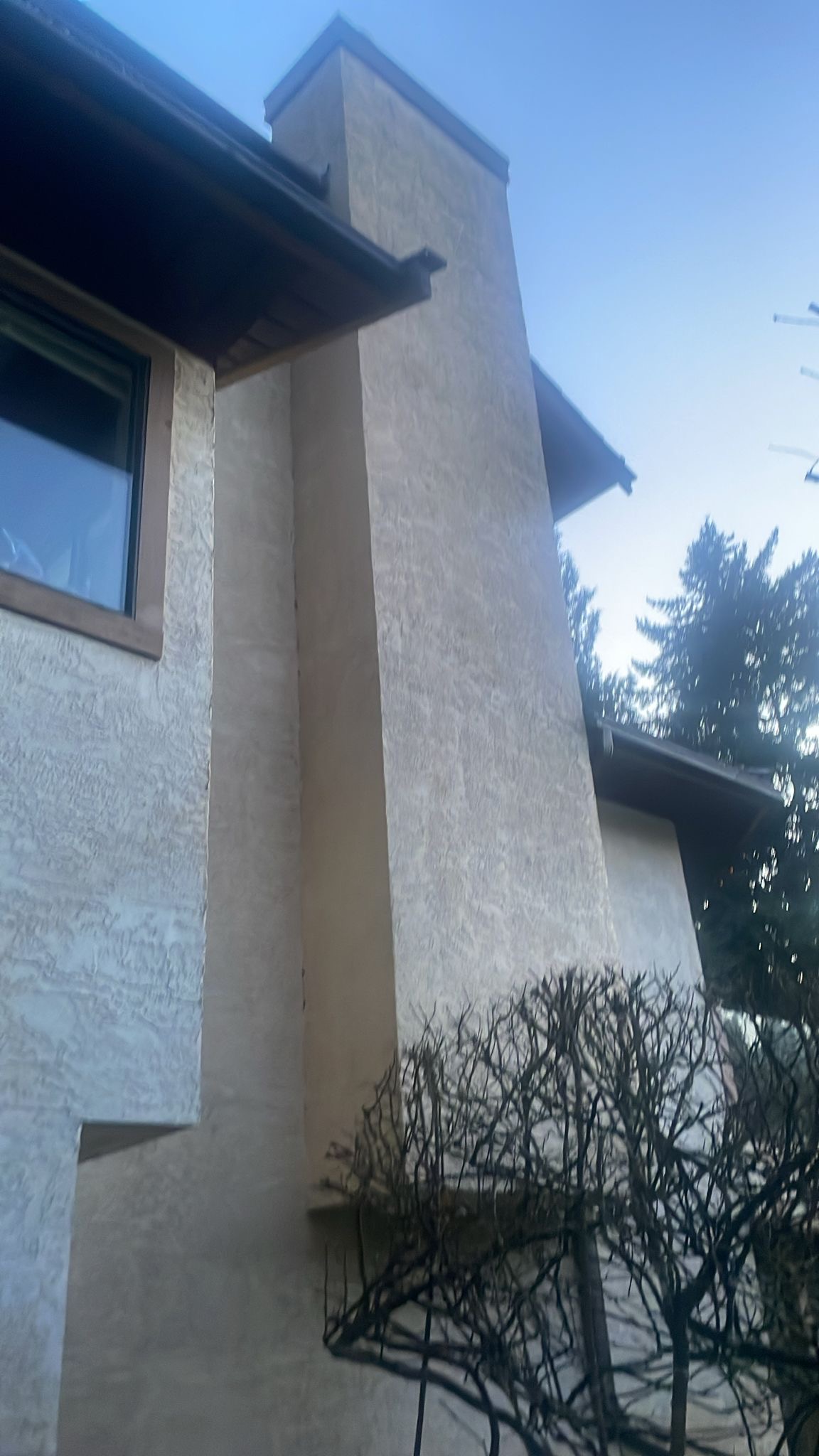 Rhinosmasonary photo 1