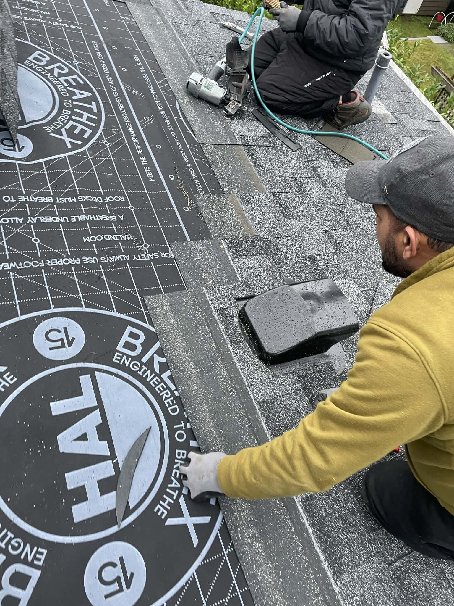 Rhinosmasonary photo 2