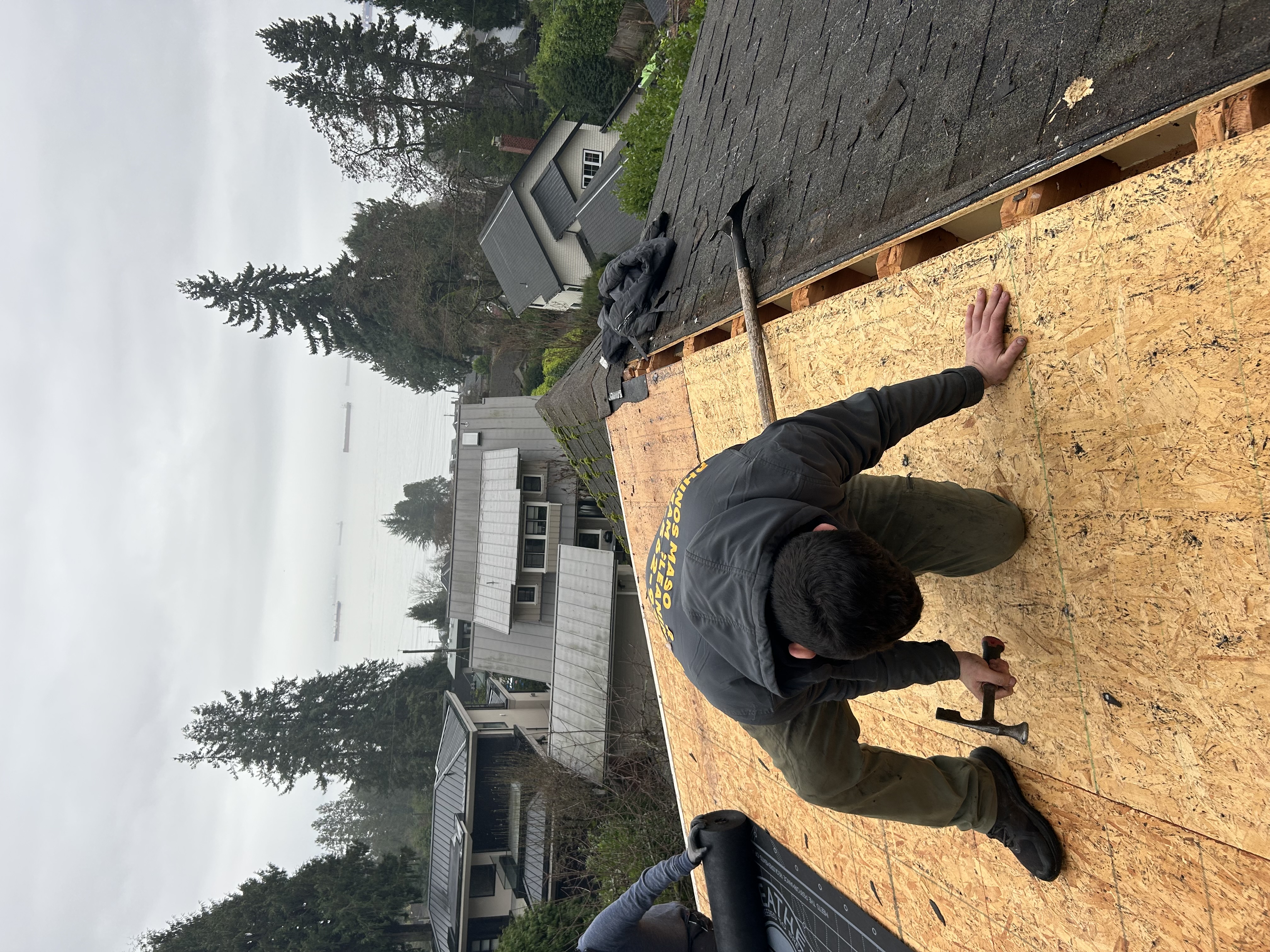 Rhinosmasonary photo 3