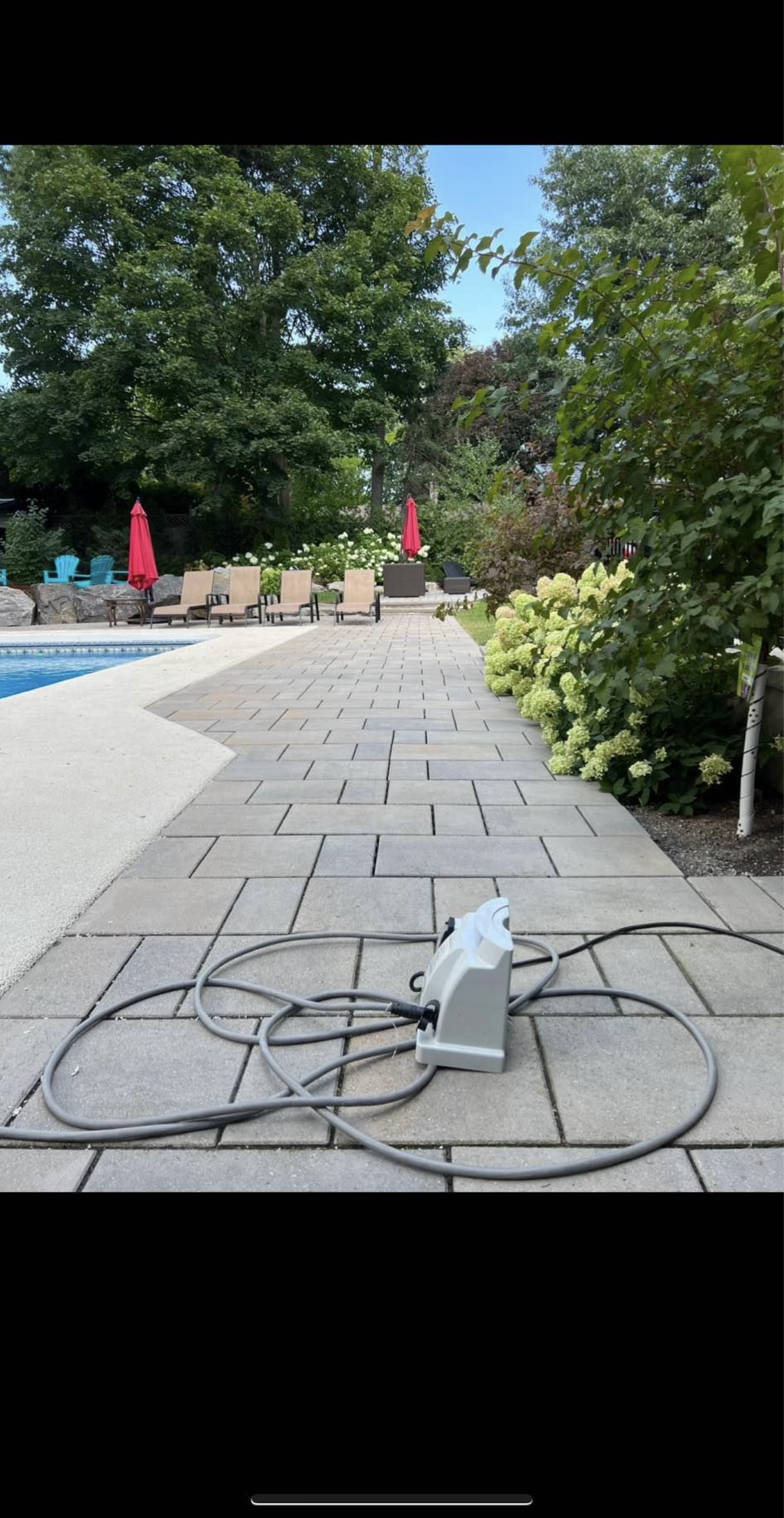 Rhinosmasonary photo 4