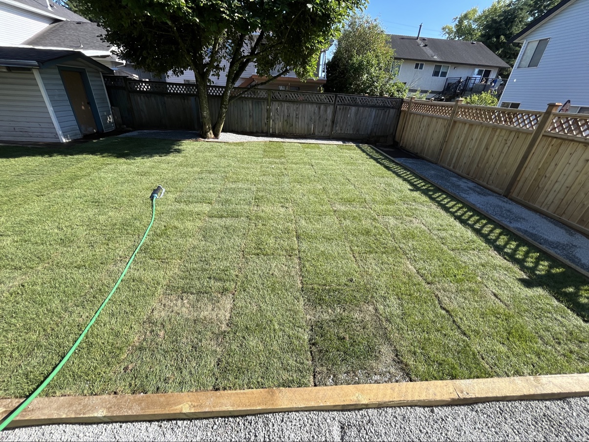 ROUGE Landscape + Renovations photo 4