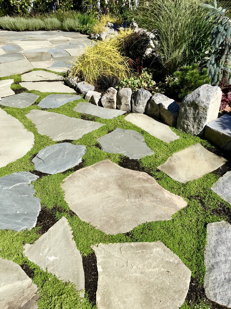 Crocus Landscaping photo 3