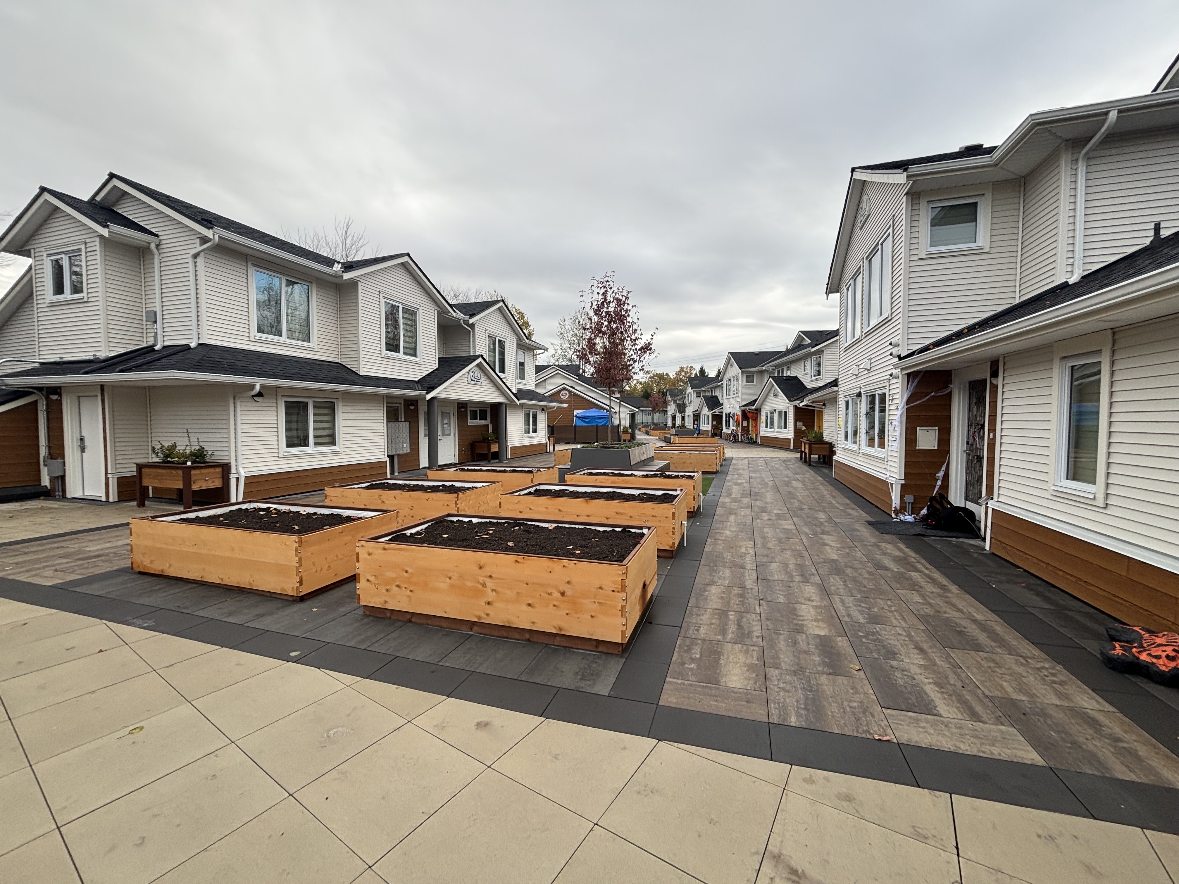 Evergreen Mountain Laandscape Ltd photo 2